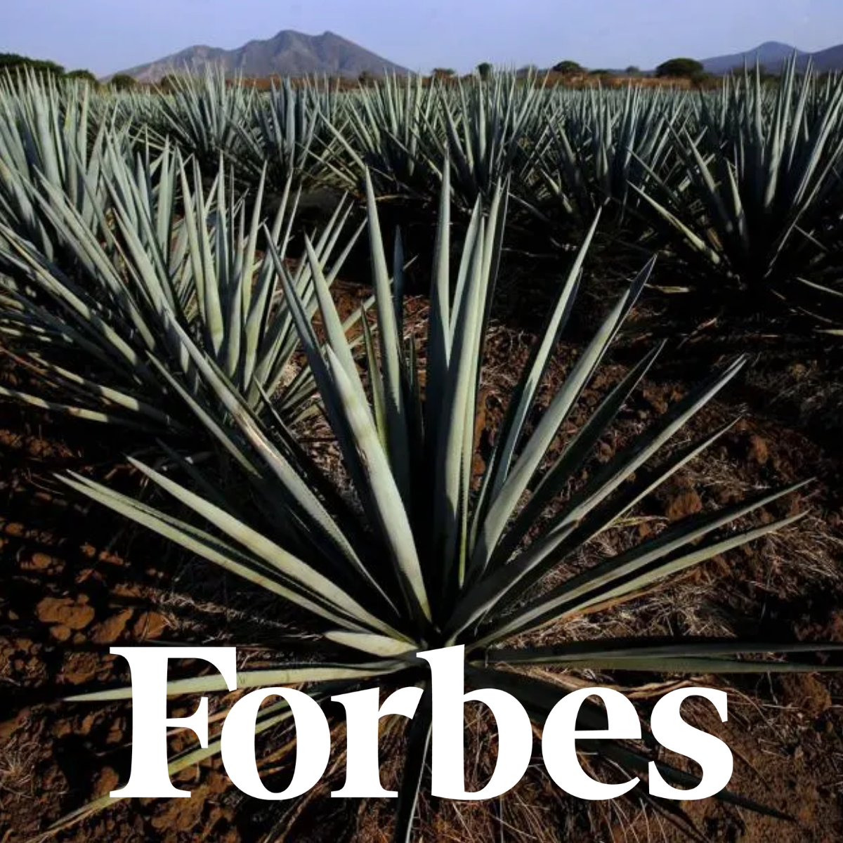 FORBES - The Best Tequilas In The World-According To The 2023 Ultimate Spirits Challenge