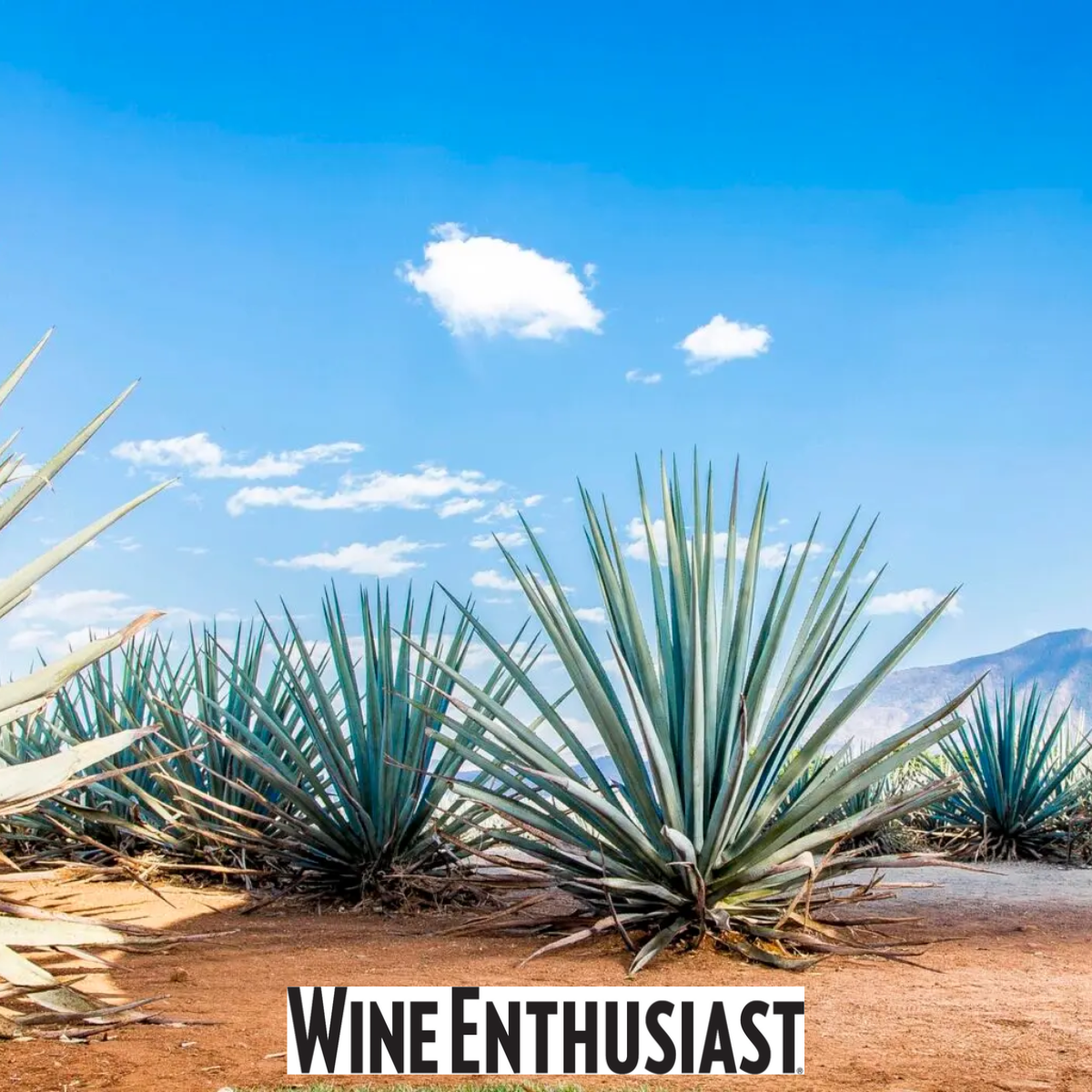WINE ENTHUSIAST - The Best Tequilas of 2021